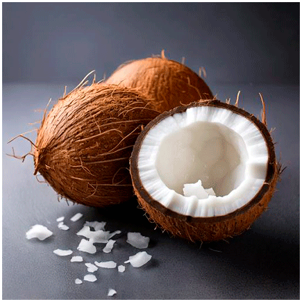 Coconut Plus Natural flavour Powder